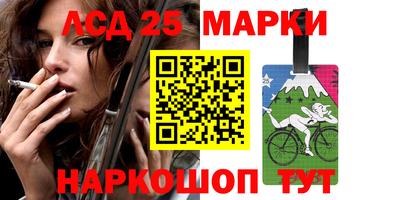 гашик Сланцы