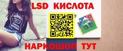 гашик Сланцы