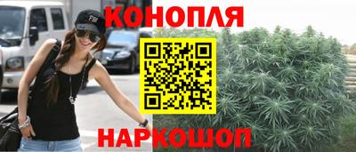 гашик Сланцы