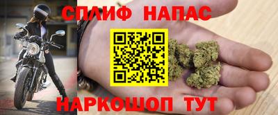 mdpv Славгород