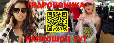 гашик Сланцы