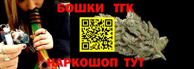 гашик Сланцы