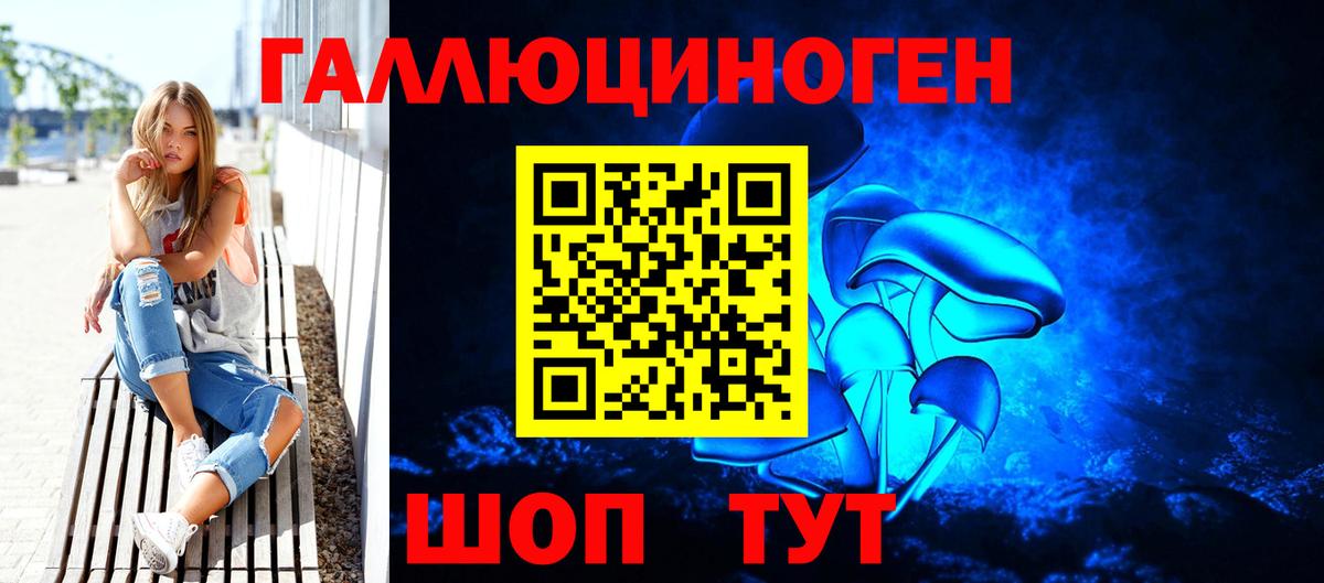 Псилоцибиновые грибы Psilocybe Назарово