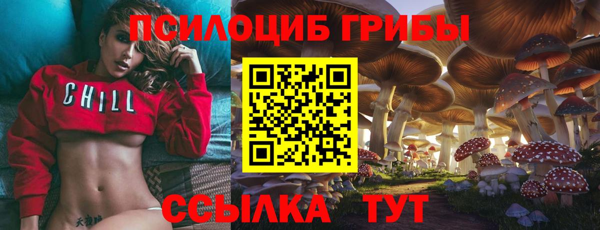 продажа наркотиков  Псилоцибиновые грибы Psilocybine cubensis  Назарово  Вход с VPN  Галлюциногенные грибы GOLDEN TEACHER 